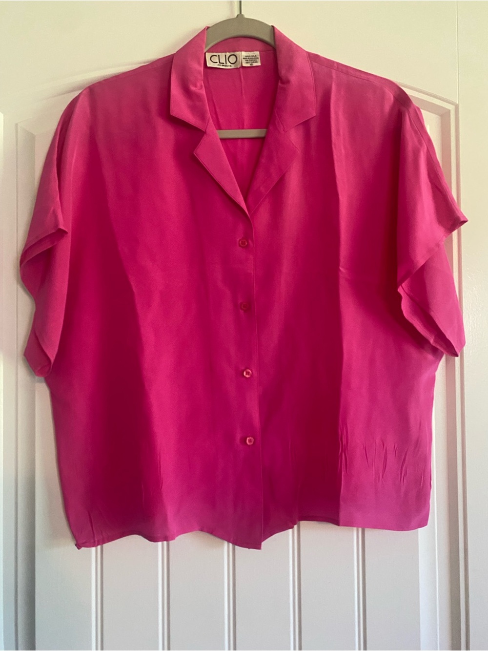 Clio 100% Silk vintage Button-Down